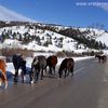 Foto Vranje News - I.T./B.Z.