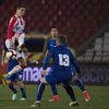 Detalj sa kup utakmice na "Rajku Mitiću". Foto FK Crvena zvezda