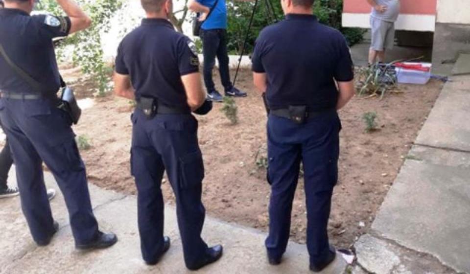 Zmija privukla publiku. Foto VranjeNews