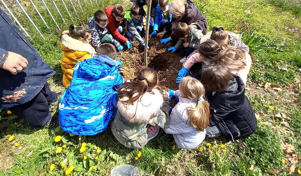 Foto OŠ Radoje Domanović