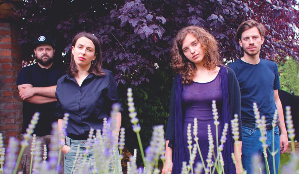 Koikoi. Foto Katarina Marković