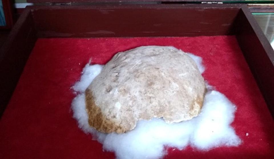 Justinove mošti mirotoče. Foto Eparhija vranjska