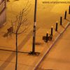 Foto Vranje News
