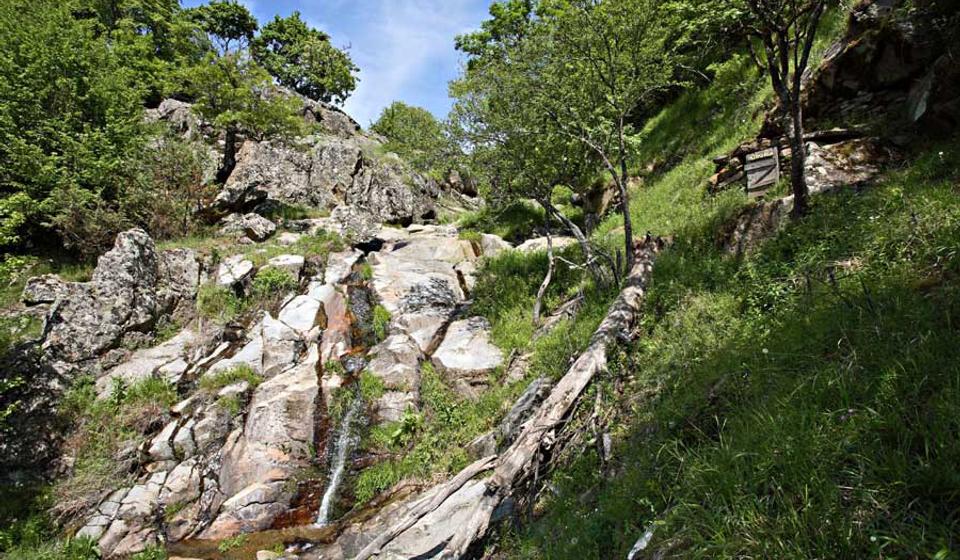 Foto Eparhija vranjska