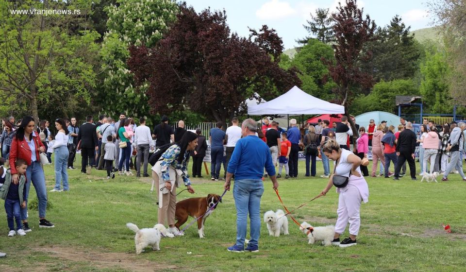 Foto Vranje news