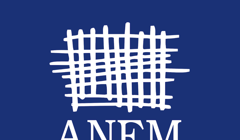 Foto logo ANEM