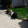 Foto Fejsbuk