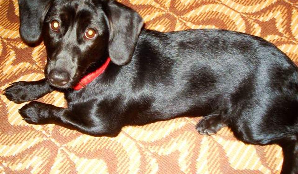 Foto privatna arhiva