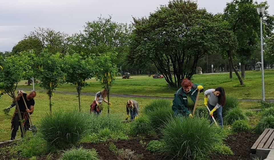 Foto Sava osiguranje