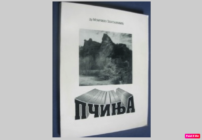 Foto printscreen NMV