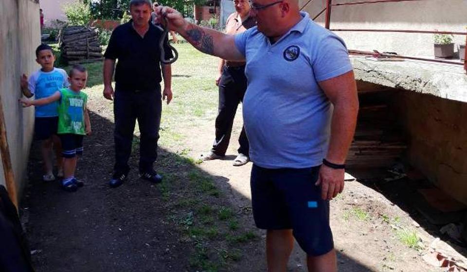 Foto Komunalna policija