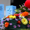 Foto Vranje News