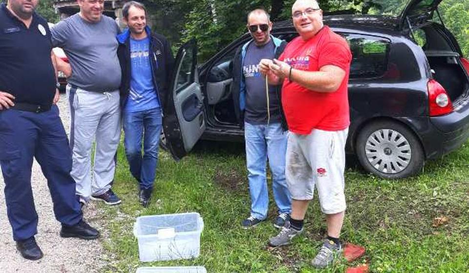 Foto Komunalna policija