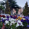 Foto ilustracija Vranje news