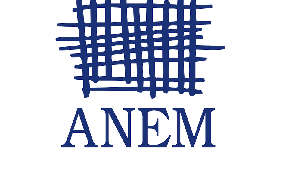 Foto logo ANEM