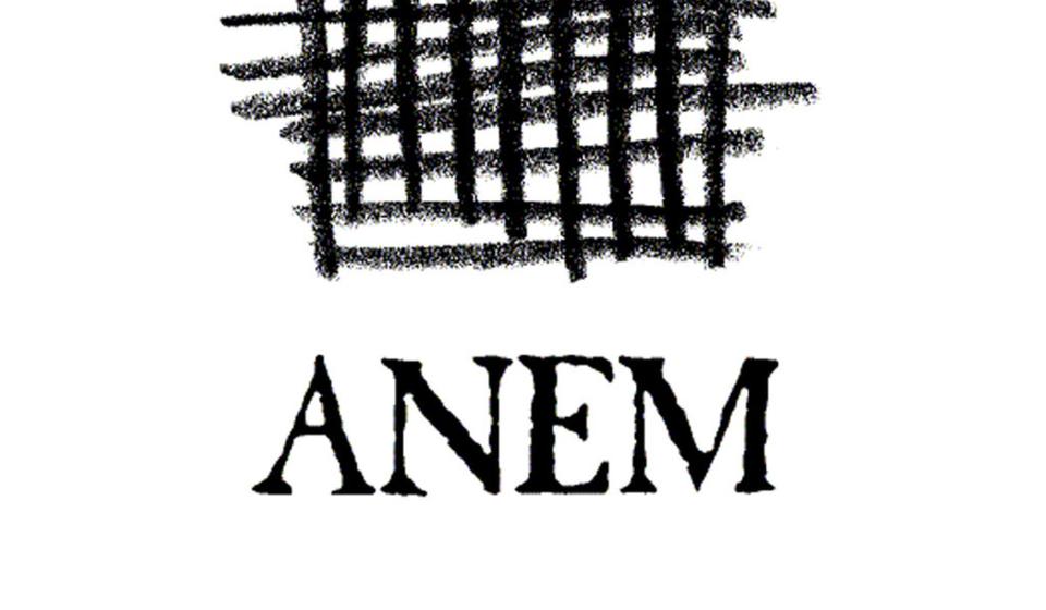 Foto logo ANEM