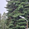 Foto Vranje news