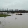 Poplavni talas na jugu Srbije u 2017. Foto Vranjenews