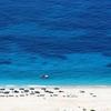 Jedna od plaža u gradu Dermi, u južnoj Albaniji. Foto Fejsbuk - Jal Kamping