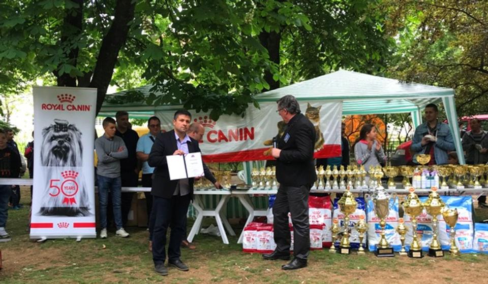 Mića Mladenović, predsednik KD Švrća. Foto VranjeNews