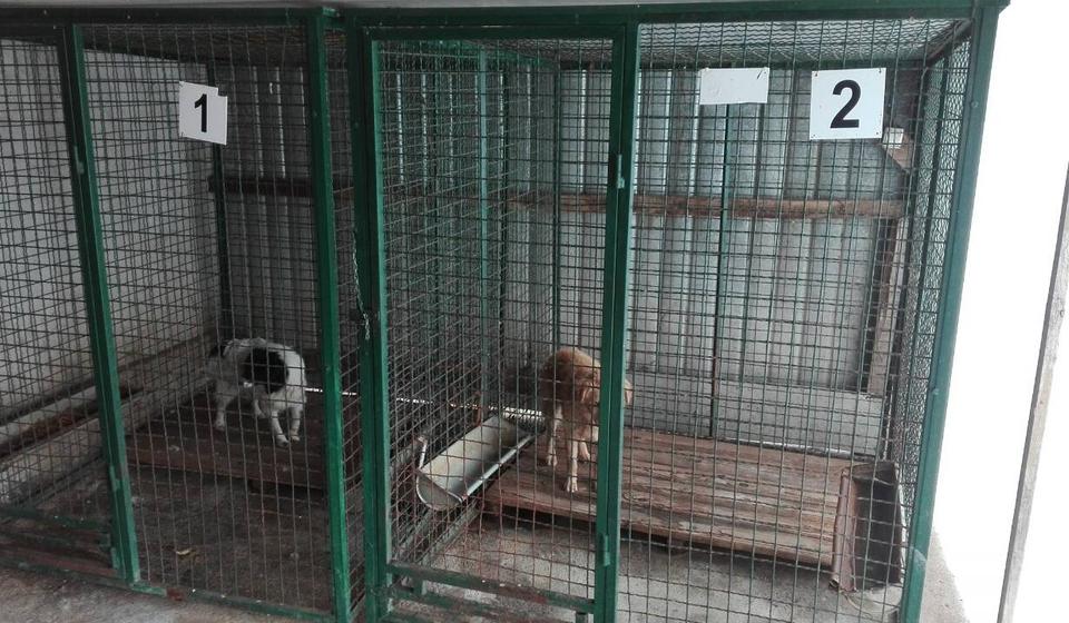 Prihvatilište Avenije MB. Foto Grad Vranje