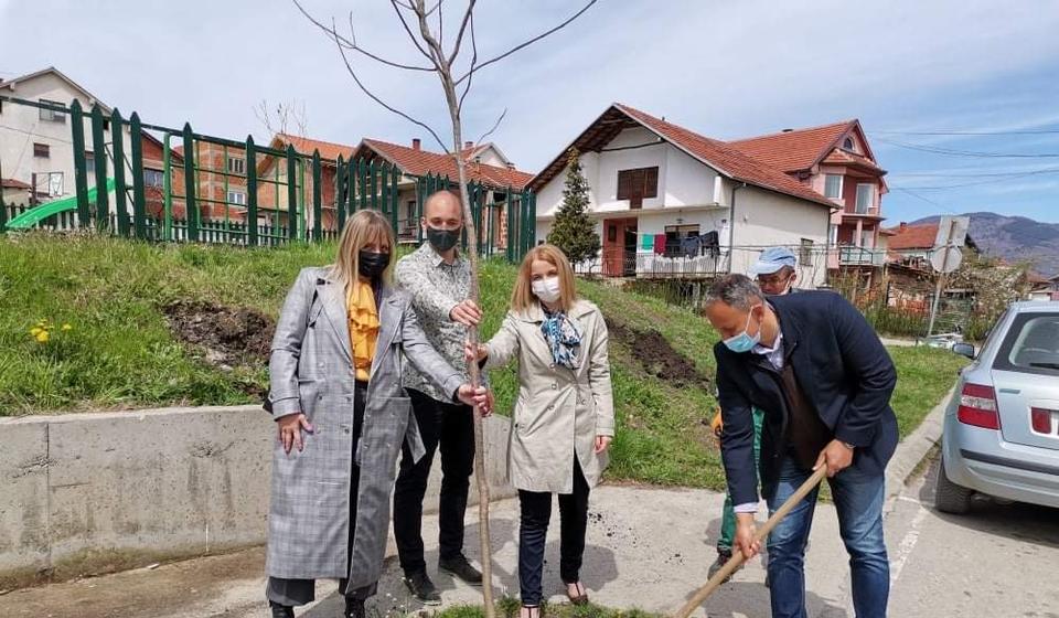 Foto www.vranje.org.rs