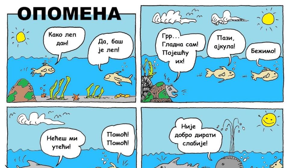 Foto MiDej