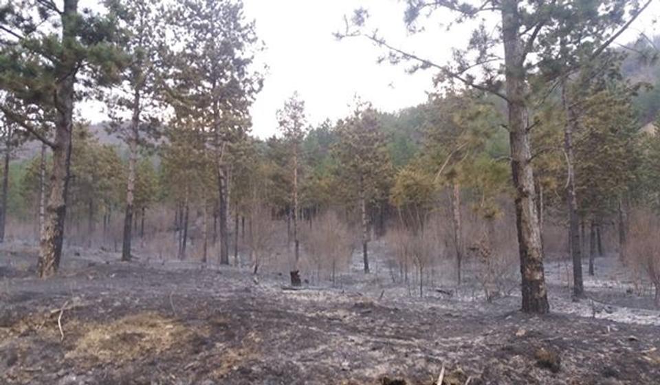 Atar sela Vrtogoš. Foto privatna arhiva