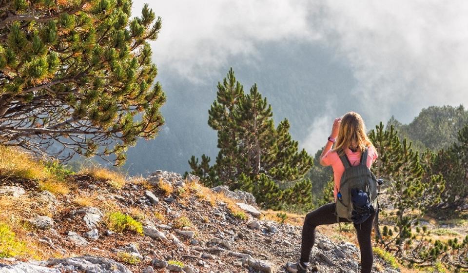 Foto privatna arhiva