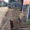 Foto Vranje News