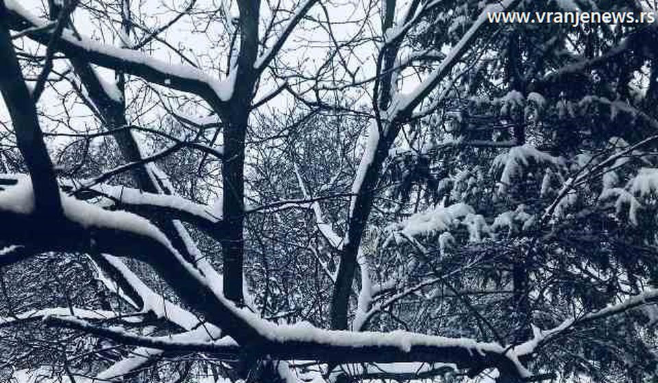 Sneg neprekidno pada u Vranju: prizor od utorka oko podneva. Foto Vranje News