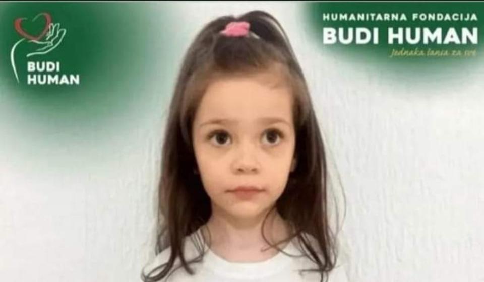 Foto Budi human
