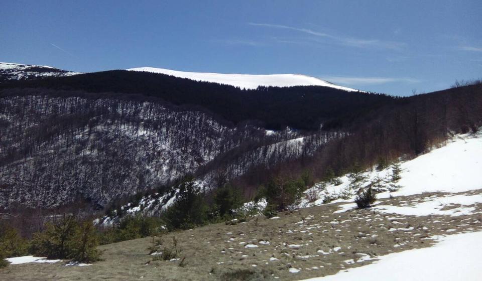 Da li će se graditi nove ski staze: Besna kobila. Foto Grad Vranje