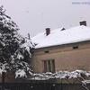 Foto Vranje News