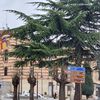 Foto ilustracija Vranje news
