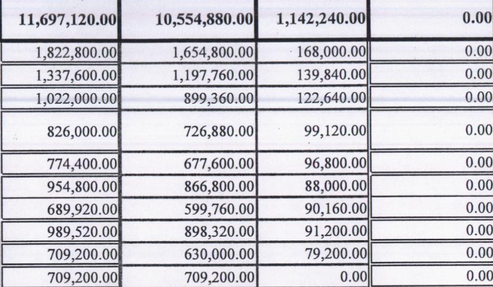 Gomila cifara iz personalnog troškovnika, uglavnom na teret građana. Foto printscreen dela finansijskog izveštaja vranjske plus doo za projekat 