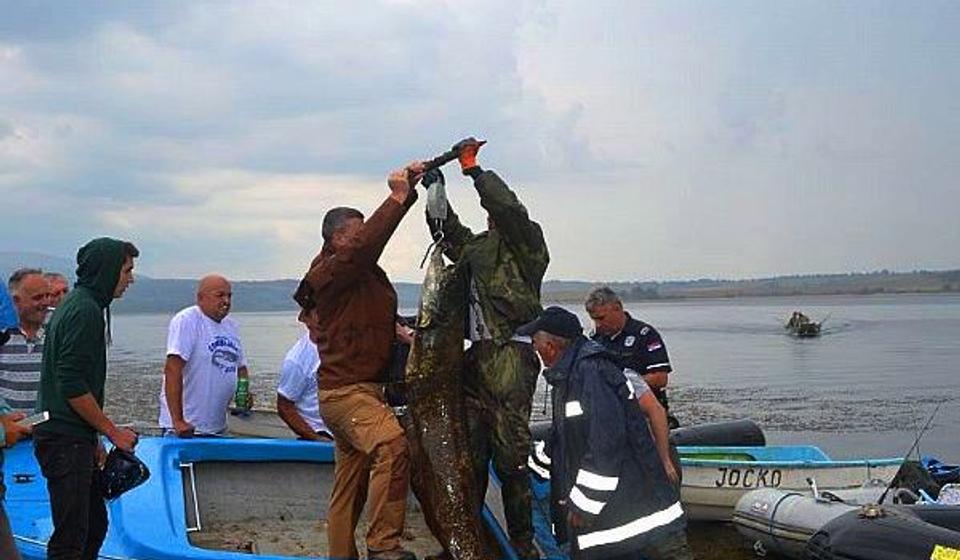 Prošlogodišnji pobednici iz Leskovca. Foto PIO Vlasina