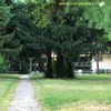 Preporuka je da se stariji od 60 godina i hronični bolesnici vakcinišu četvrtom dozom: ATD. Foto Vranje News