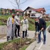 Foto www.vranje.org.rs