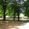 Gradski park u Vranju. Foto Vranje News