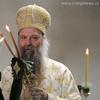 Patrijarh Porfirije. Foto Vranje News