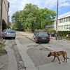 Foto Vranje news