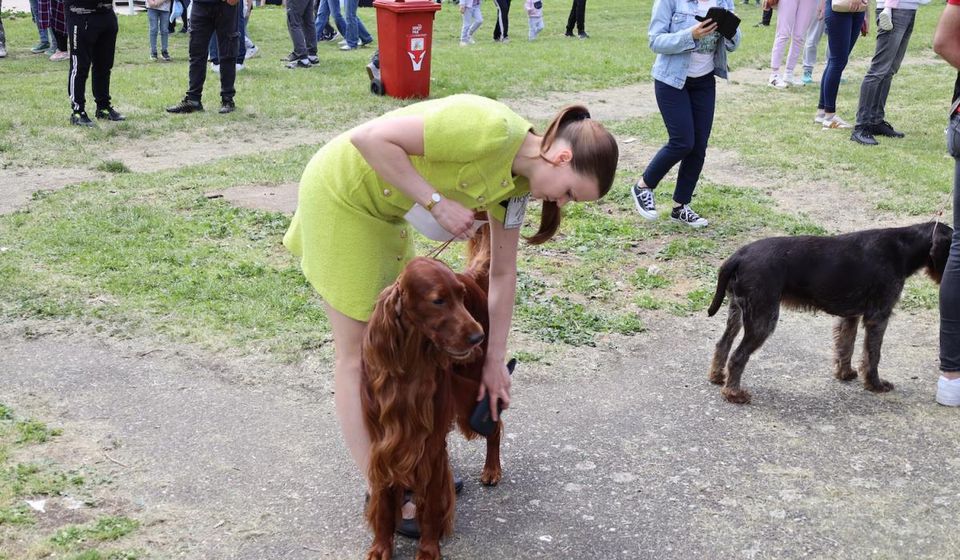 Foto Vranje news