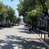 Foto kosmitrovica.rs