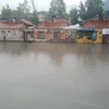 Foto Bujanovačke