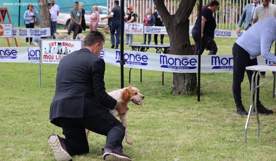 Foto Vranje news