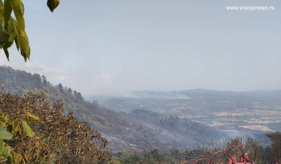 Nedavni požar u selu Mečkovac. Foto Vranje news