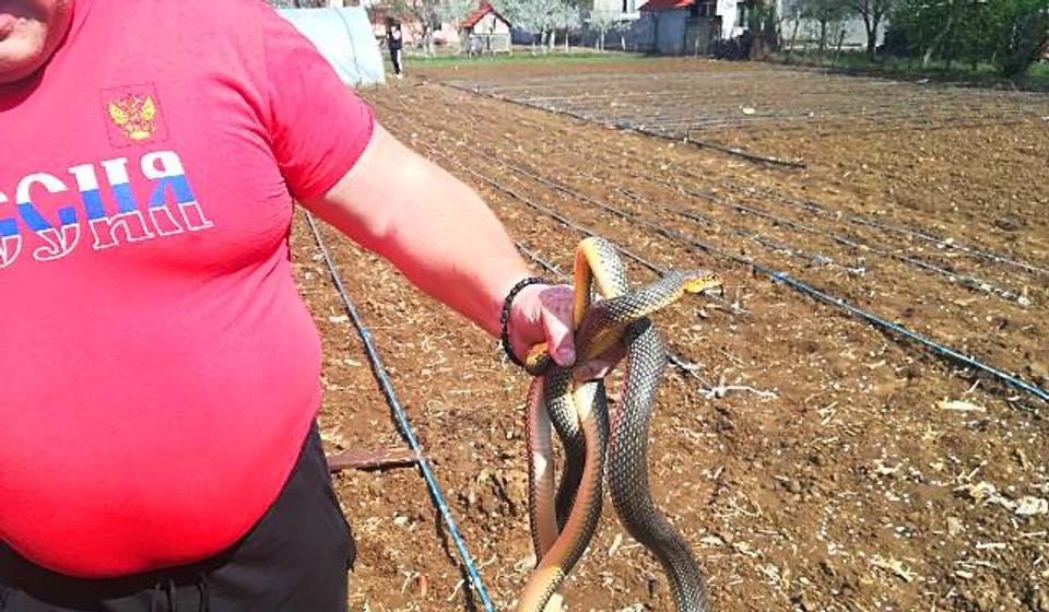 Foto Komunalna policija