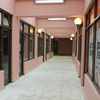 Foto Vranje News