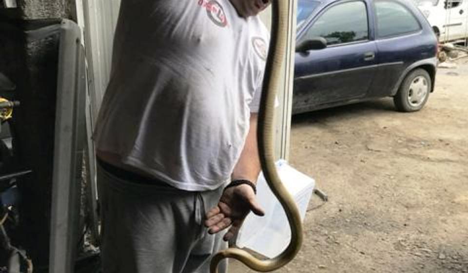 Smuk ima preko dva metra: Vladica Stojković iz 